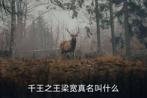 廣州千王之王，千王之王梁寬真名叫什么