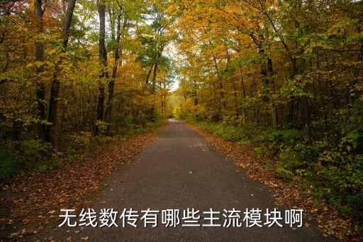 無線數傳模塊，無線數傳有哪些主流模塊啊