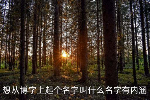 博字取名，我想給寶寶取一個帶博的名字麻煩給想一下