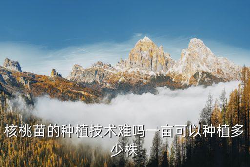核桃苗的種植技術(shù)難嗎一畝可以種植多少株