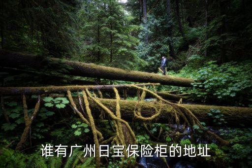 廣州日寶發生意外，誰有廣州日寶保險柜的地址