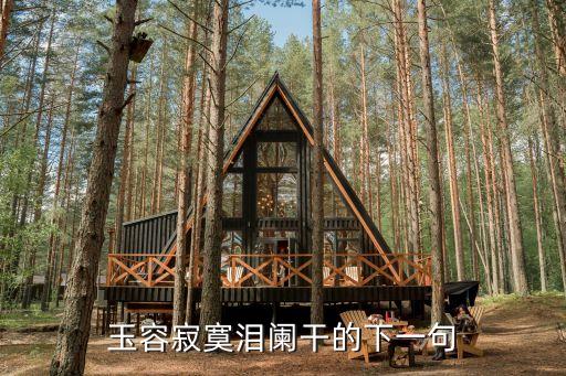 玉容寂寞淚闌干，玉容寂寞淚闌干 梨花一枝春帶雨 譯文