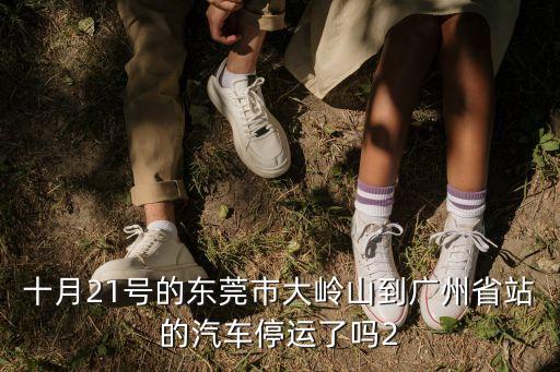 十月21號的東莞市大嶺山到廣州省站的汽車停運了嗎2