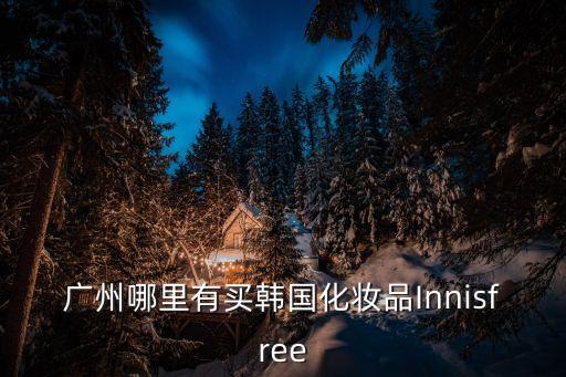 廣州哪里有買韓國化妝品Innisfree