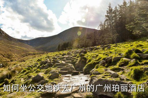 廣州鉑麗酒店，從新窖東路中坐幾號(hào)公車(chē)到廣州市海珠區(qū)鉑麗酒店