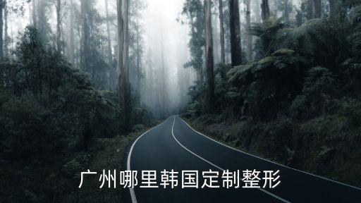 廣州入戶房屋備案積分，廣州哪里韓國定制整形