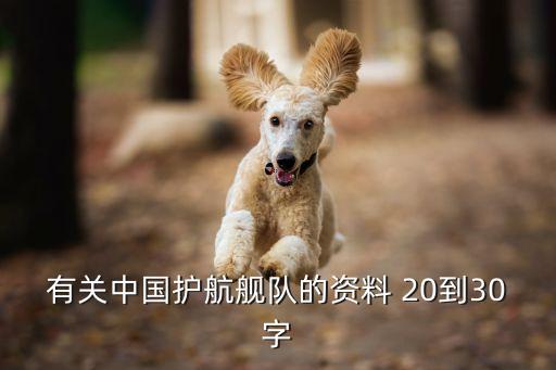 廣州號護衛(wèi)艦簡介，廣州號大約幾億一艏