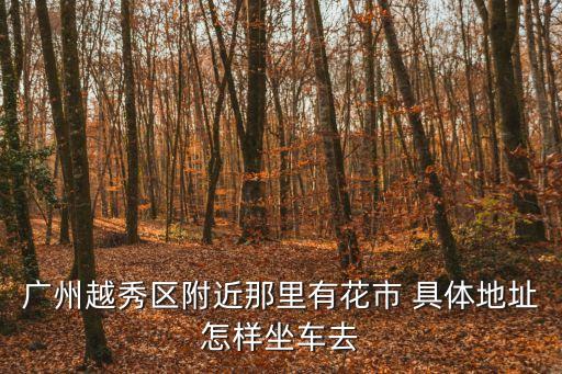 廣州市越秀區年花售賣點，廣州越秀區附近那里有花市 具體地址怎樣坐車去