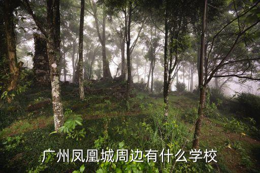 怡瑞小學廣州市排名，廣州鳳凰城周邊有什么學校