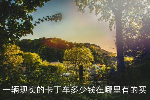 廣州卡丁車要多少錢，一輛現實的卡丁車多少錢在哪里有的買