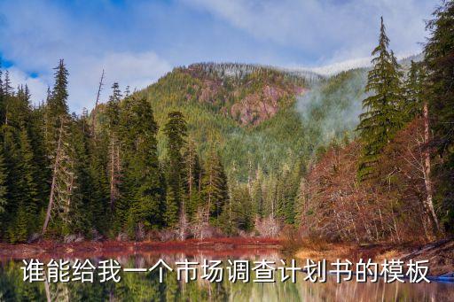 市場調研計劃書，誰能給我一個市場調查計劃書的模板