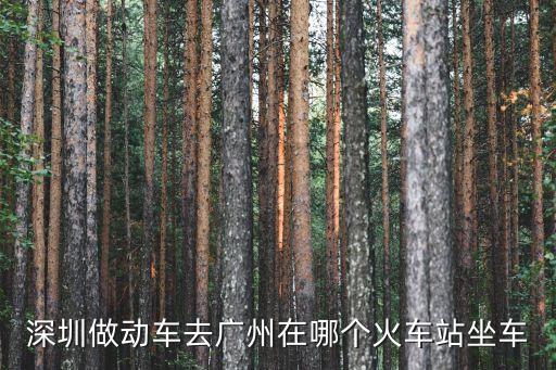 深圳做動車去廣州在哪個火車站坐車