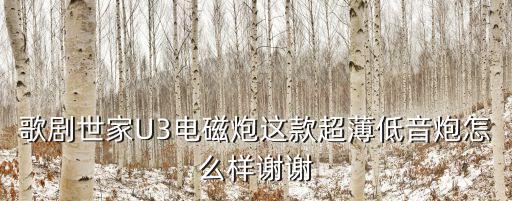 歌劇世家U3電磁炮這款超薄低音炮怎么樣謝謝