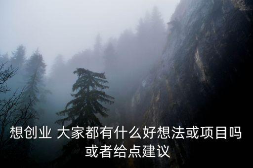 創業想法，大家對于創業有什么好的想法嗎