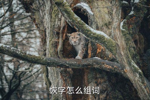 恢字組詞，恢復的恢可以組什么詞
