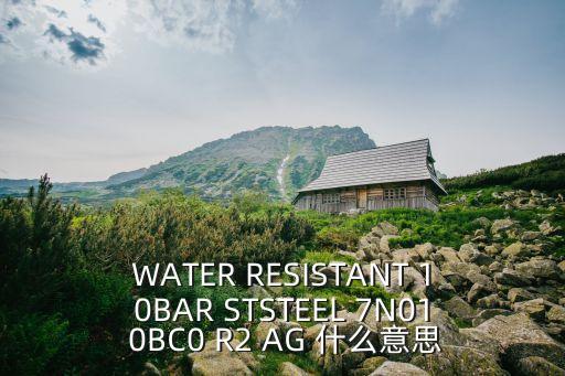 廣州ttg零封ag，WATER RESISTANT 10BAR STSTEEL 7N01 0BC0 R2 AG 什么意思