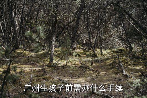 廣州市生孩子流程，外地戶口在廣州生孩子需要辦理哪些手續生育保險如何辦理如何