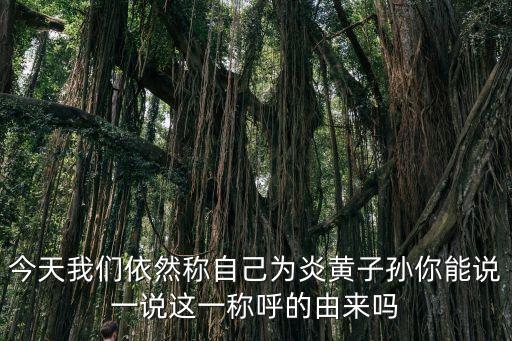 今天我們依然稱(chēng)自己為炎黃子孫你能說(shuō)一說(shuō)這一稱(chēng)呼的由來(lái)嗎
