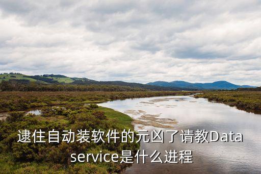 逮住自動裝軟件的元兇了請教Data service是什么進程