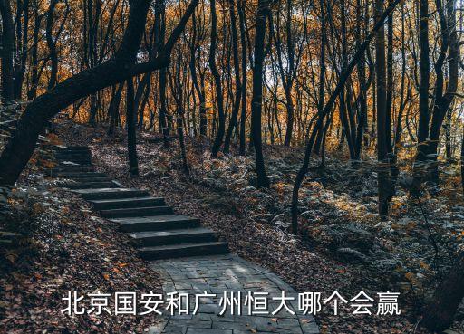 北京國安和廣州恒大哪個會贏