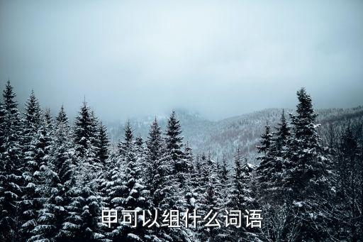 甲的組詞，甲字怎么組詞