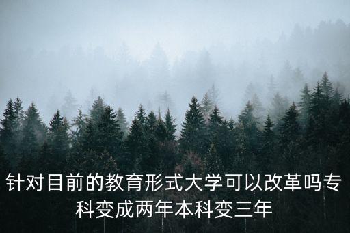 高校改革，高校教育教學改革的內容是什么