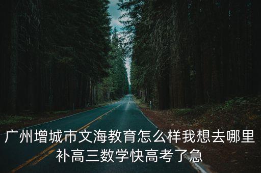 廣州增城市文海教育怎么樣我想去哪里補高三數(shù)學(xué)快高考了急