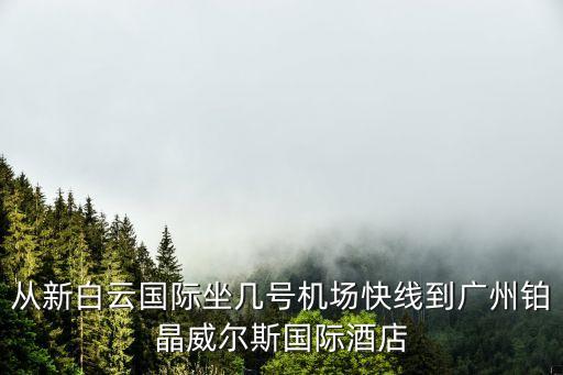 從新白云國際坐幾號機場快線到廣州鉑晶威爾斯國際酒店
