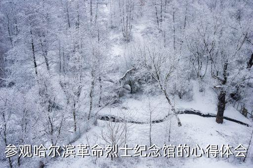 參觀哈爾濱革命烈士紀念館的心得體會