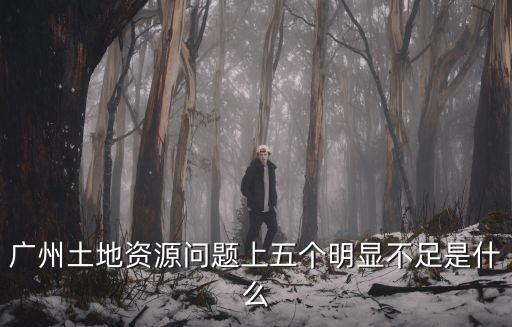 廣州國土嚴處長，廣州土地資源問題上五個明顯不足是什么