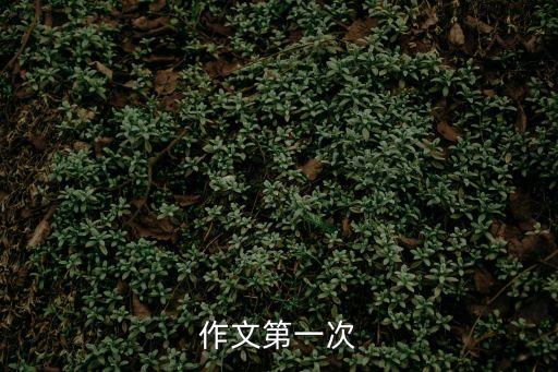 作文第一次