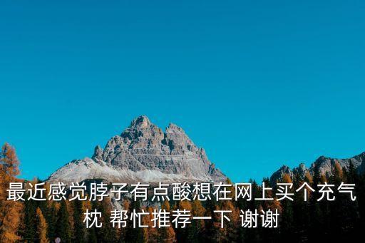 最近感覺脖子有點酸想在網上買個充氣枕 幫忙推薦一下 謝謝