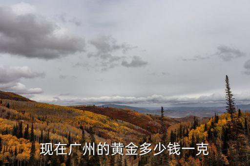 現(xiàn)在廣州的黃金多少錢(qián)一克