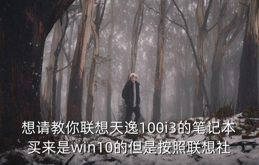 天逸100，我有一臺老式的筆記本是聯想的天逸100想稍做升級