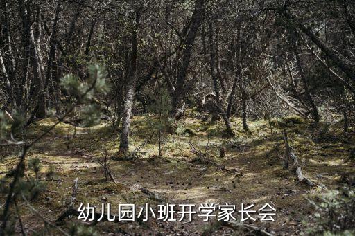 幼兒園家長會方案，求一份開家長會的計劃書