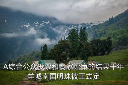 廣州一家五口被確診，A綜合公眾投票和專家評審的結果千年羊城南國明珠被正式定