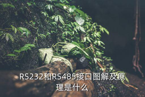 RS232和RS485接口圖解及原理是什么