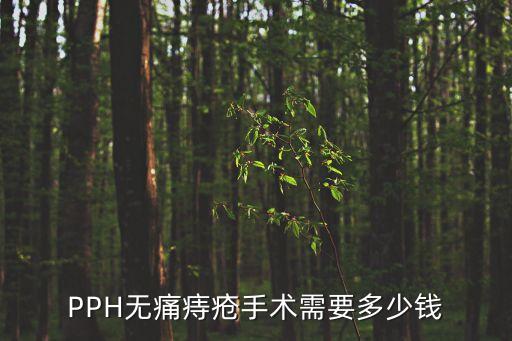 PPH無痛痔瘡手術需要多少錢