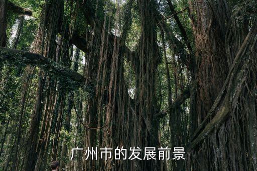 廣州市近況，廣州市發(fā)展如何