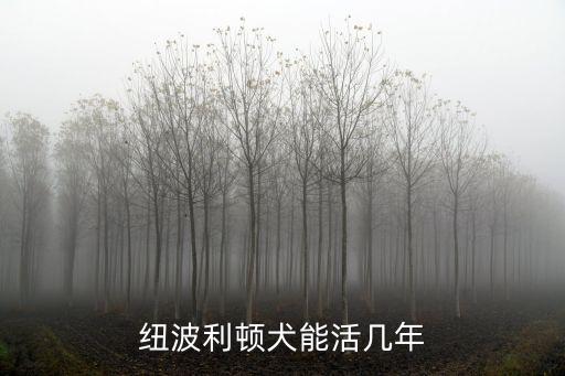 意大利紐波利頓犬，如何鑒別意大利紐波利頓獒犬是否純種