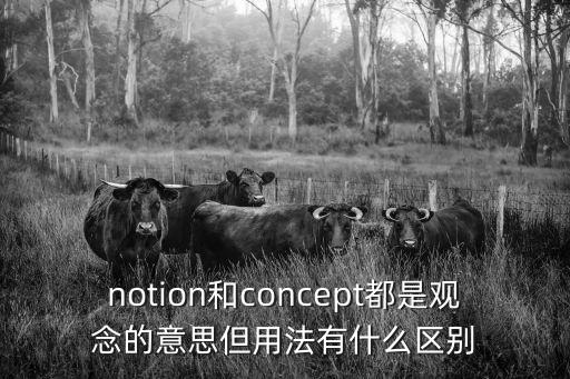 conception，notion和concept都是觀念的意思但用法有什么區(qū)別
