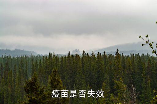 廣州病毒疫苗失效了嗎，圓環病毒病毒疫苗冷凍30小時還能用嗎