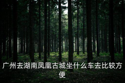 廣州到鳳凰城坐什么車最快，廣州站到新塘鳳凰城坐什么車到哪里坐