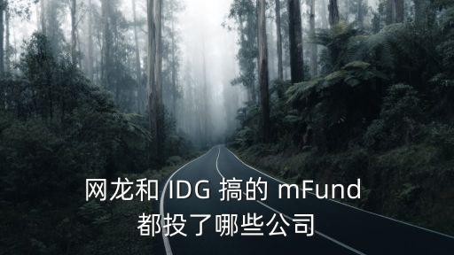 網龍和 IDG 搞的 mFund 都投了哪些公司