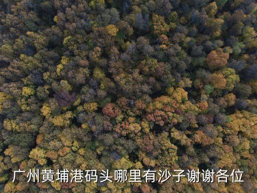 廣州黃埔港碼頭哪里有沙子謝謝各位