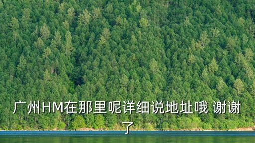 廣州HM在那里呢詳細說地址哦 謝謝了