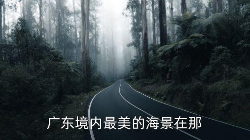 廣東海邊，廣東境內最美的海景在那