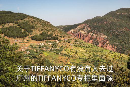 廣州的太古匯有百達翡麗表賣嗎，關于TIFFANYCO有沒有人去過廣州的TIFFANYCO專柜里面除