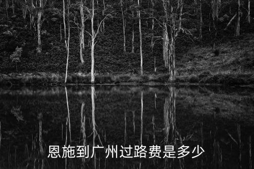 恩施到廣州高速多少錢，恩施到廣州開車過路費(fèi)要多少