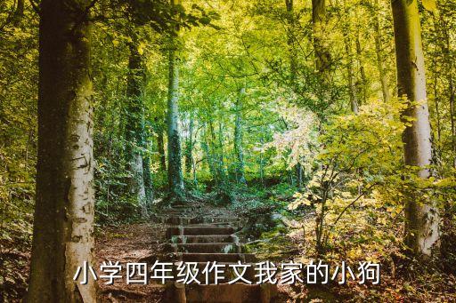 作文小狗300字，小狗子作文三百字